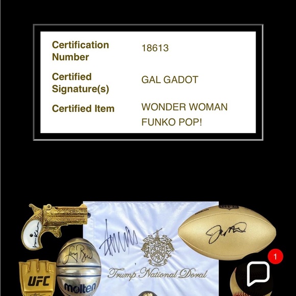 Gal Gadot signed Funko Pop! #321 Wonder Woman with COA - Picture 8 of 8